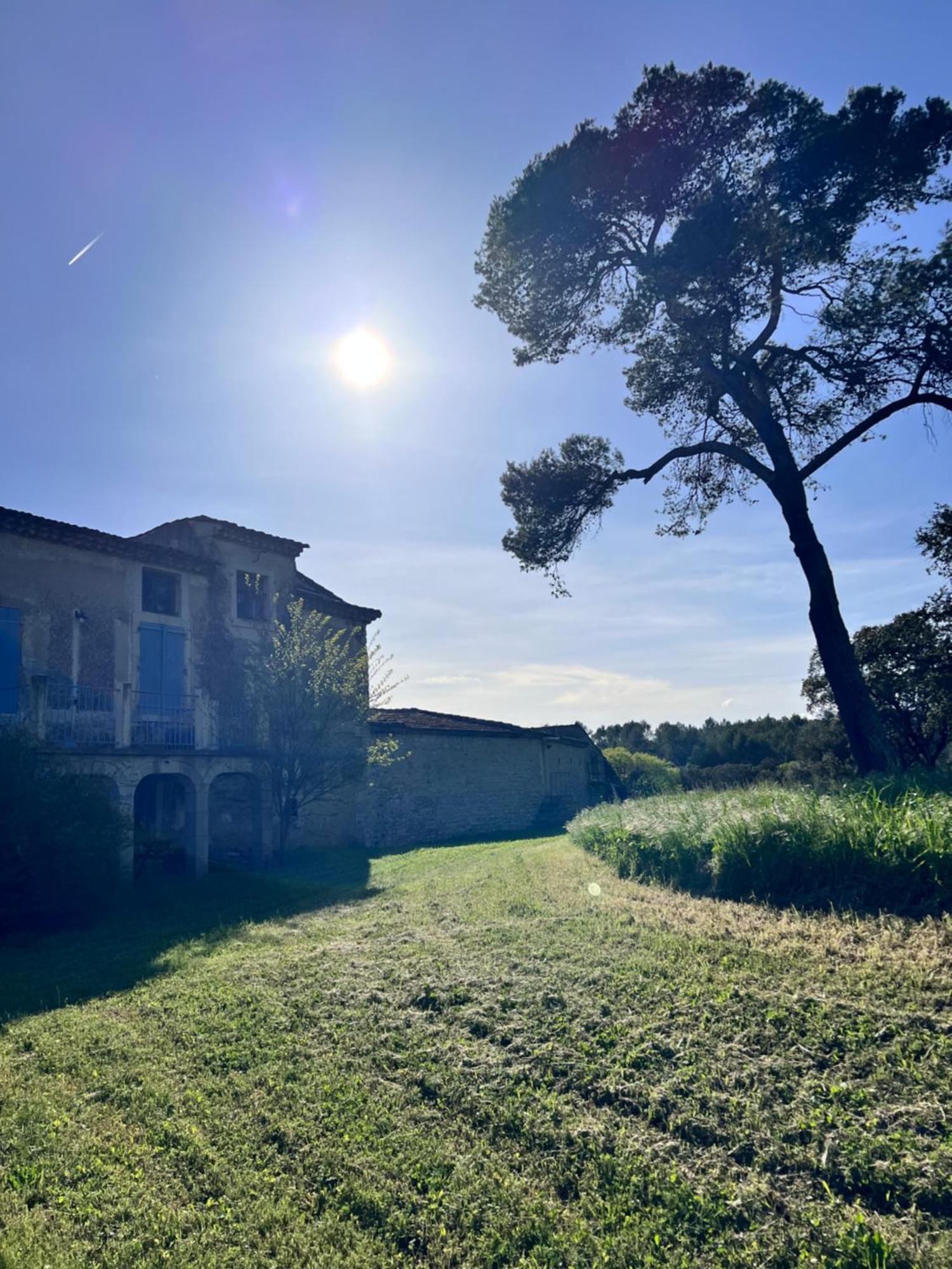 Le Mas Du Gentilhomme Chambre Lavande Orthoux-Sérignac-et-Quilhan エクステリア 写真